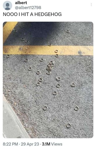 Microblog post: "NOOO I HIT A HEDGEHOG". Picture of a bunch of small gold-ish rings laying on the ground